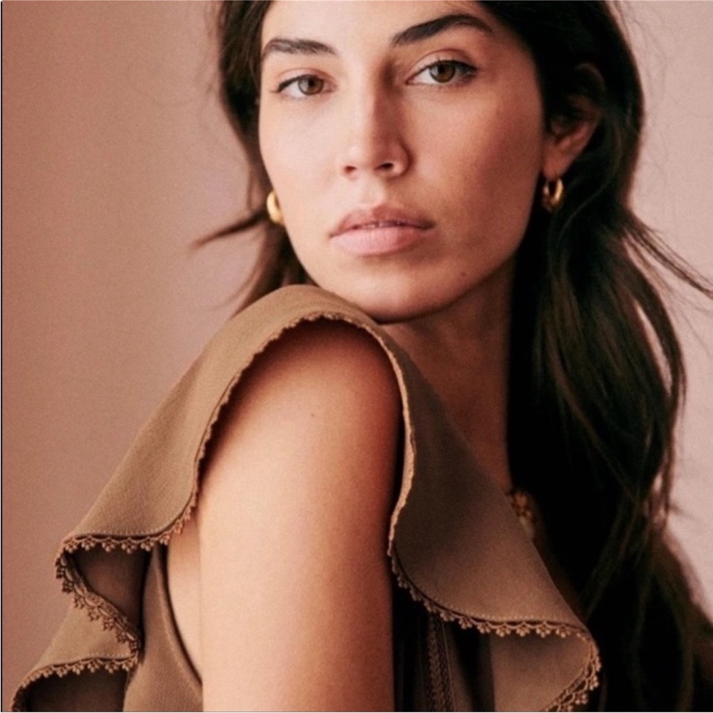 Sezane Brown Ruffle Blouse - Picture 8 of 11